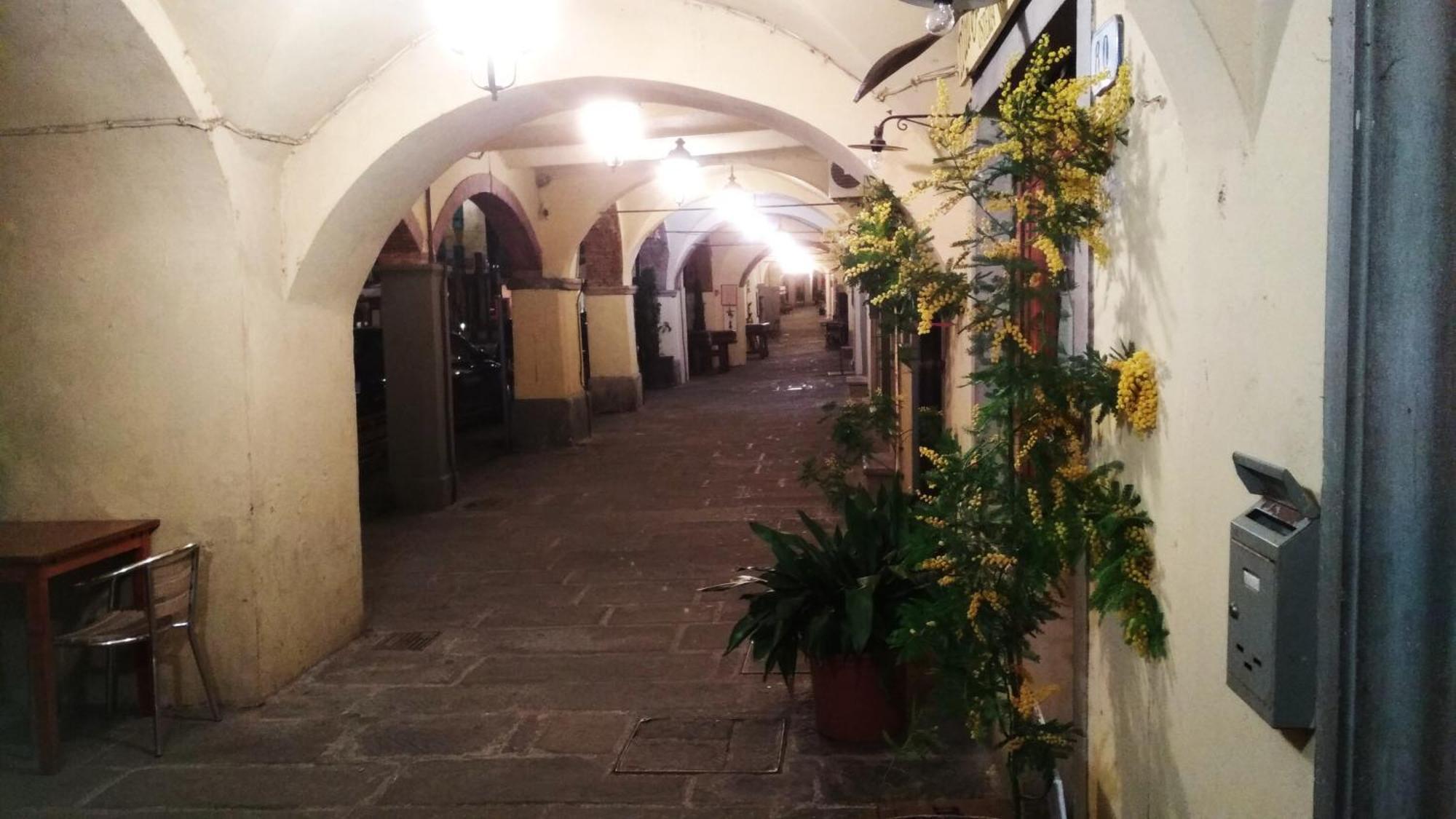 Il Nido Nel Chianti Lejlighed Greve in Chianti Eksteriør billede